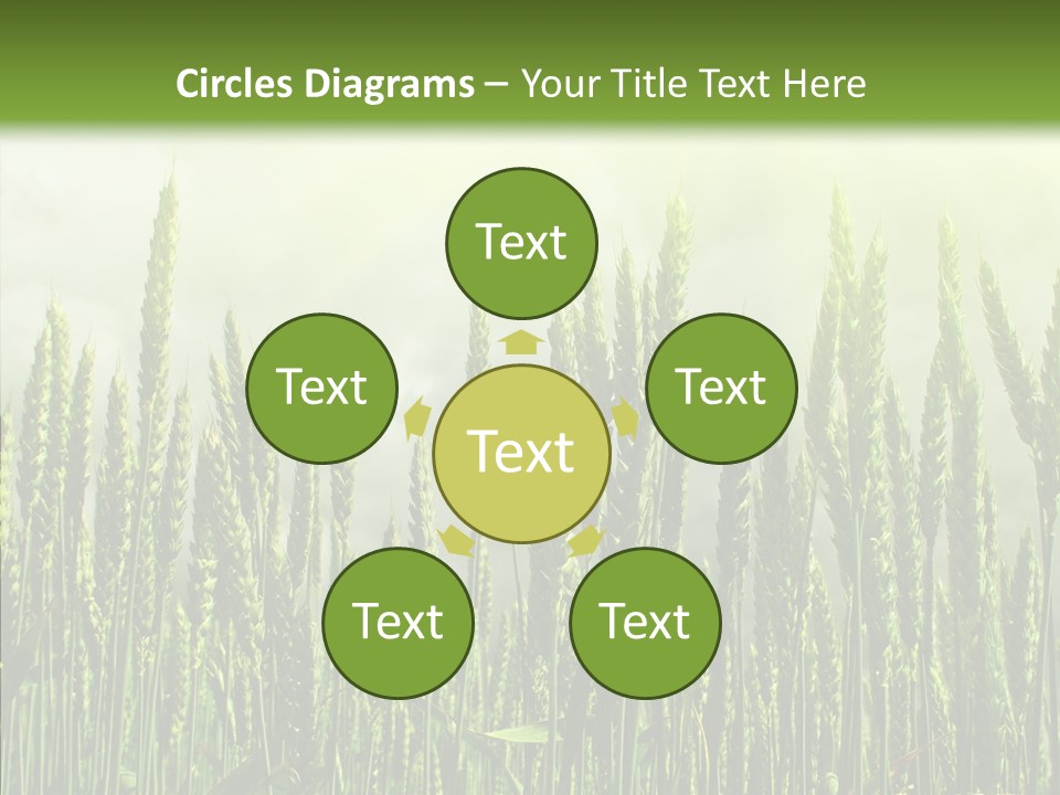 Nobody Nature Corn PowerPoint Template