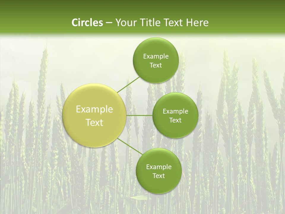 Nobody Nature Corn PowerPoint Template