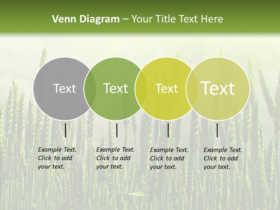 Nobody Nature Corn PowerPoint Template