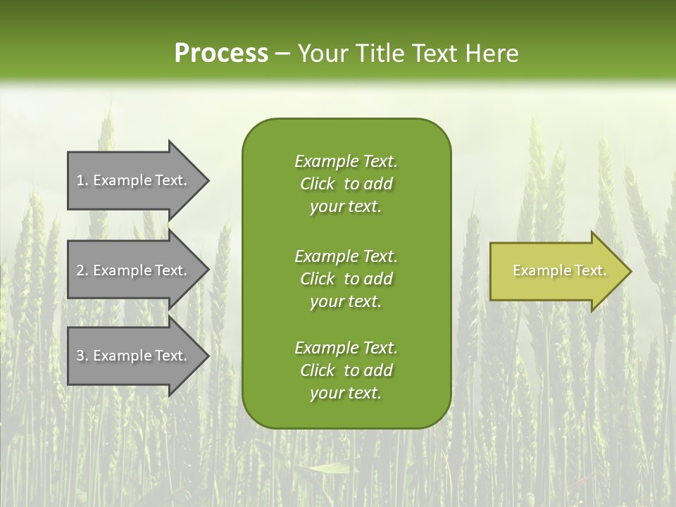 Nobody Nature Corn PowerPoint Template