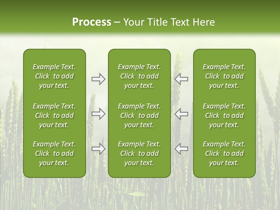 Nobody Nature Corn PowerPoint Template