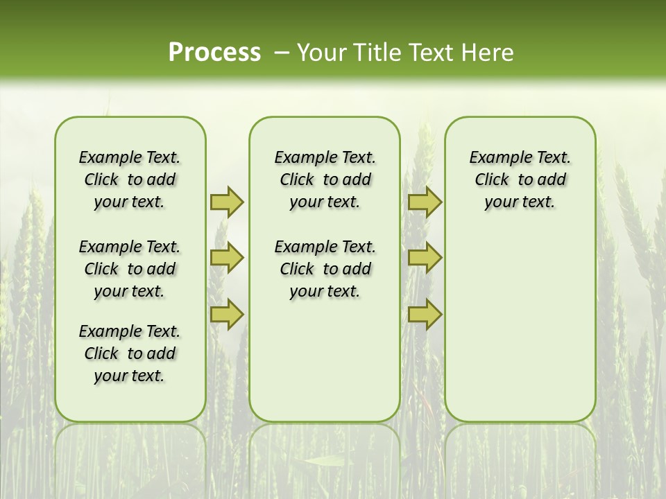 Nobody Nature Corn PowerPoint Template