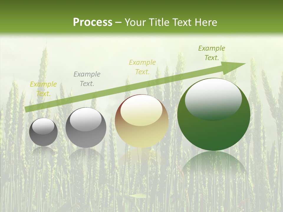 Nobody Nature Corn PowerPoint Template