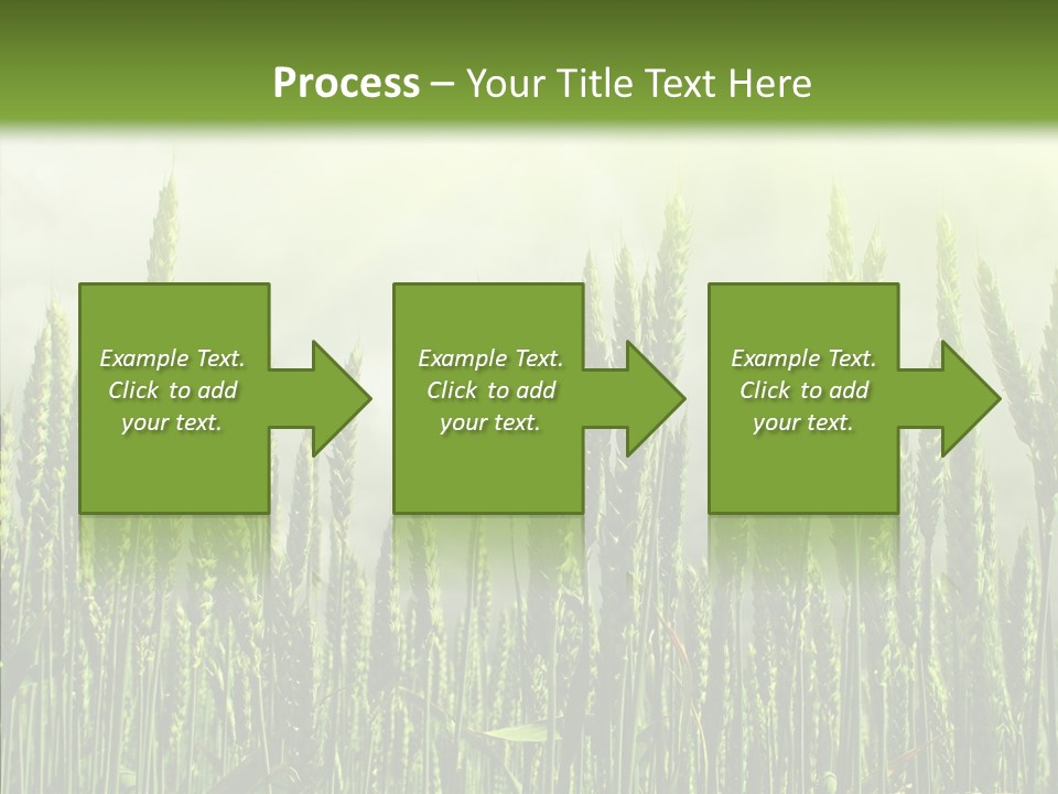 Nobody Nature Corn PowerPoint Template