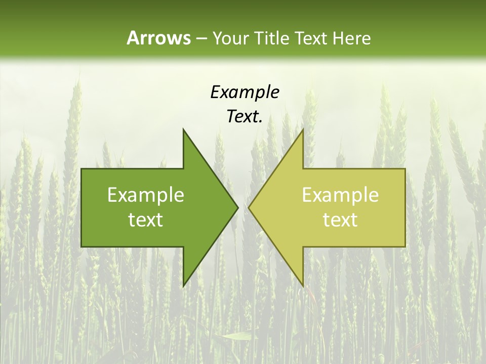 Nobody Nature Corn PowerPoint Template