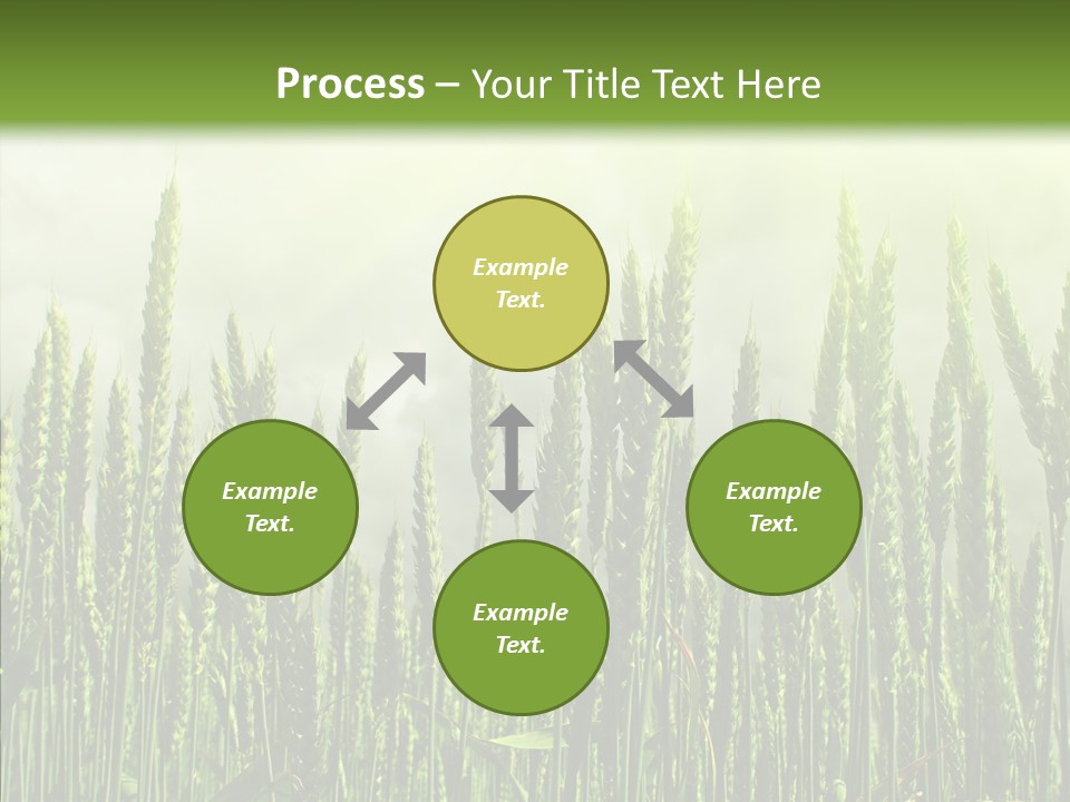 Nobody Nature Corn PowerPoint Template