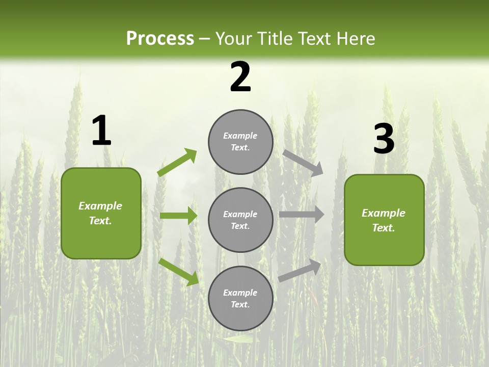 Nobody Nature Corn PowerPoint Template