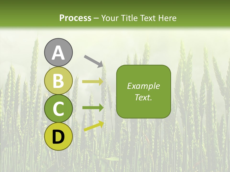 Nobody Nature Corn PowerPoint Template