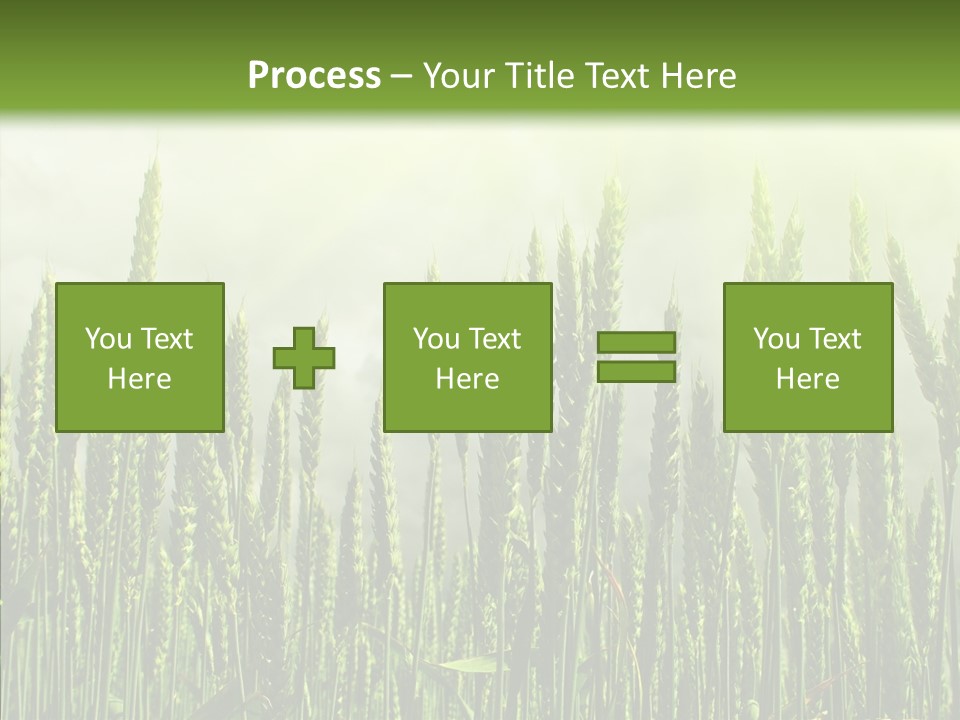 Nobody Nature Corn PowerPoint Template
