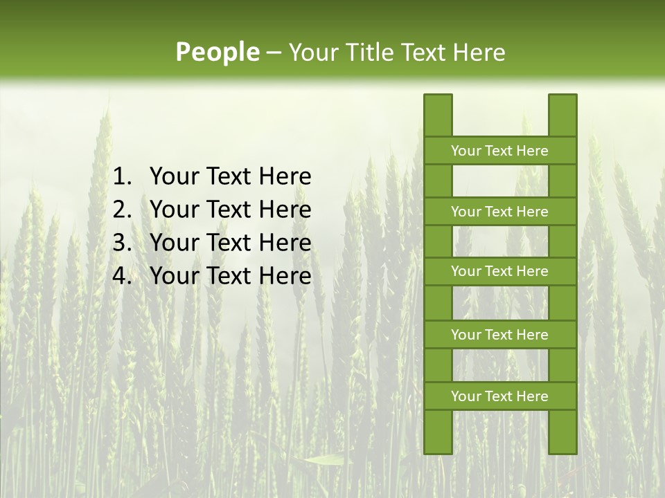 Nobody Nature Corn PowerPoint Template