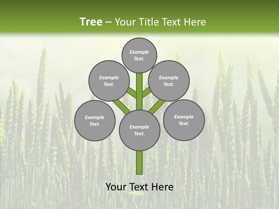 Nobody Nature Corn PowerPoint Template