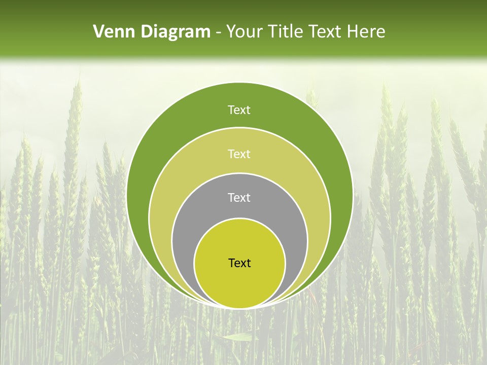 Nobody Nature Corn PowerPoint Template