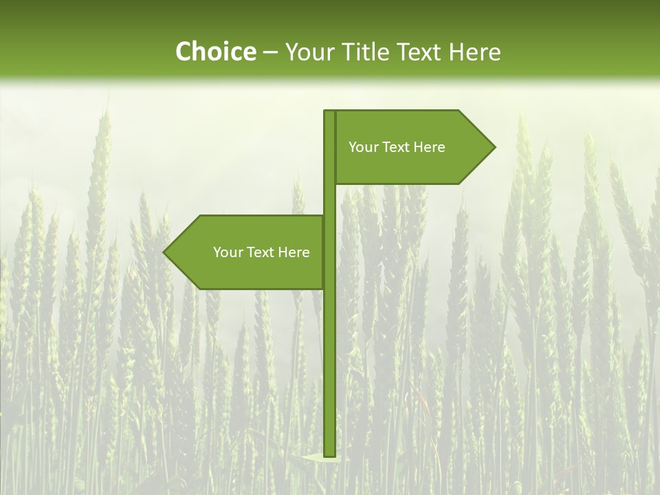 Nobody Nature Corn PowerPoint Template