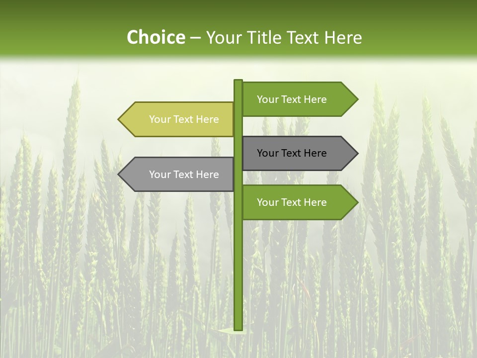 Nobody Nature Corn PowerPoint Template