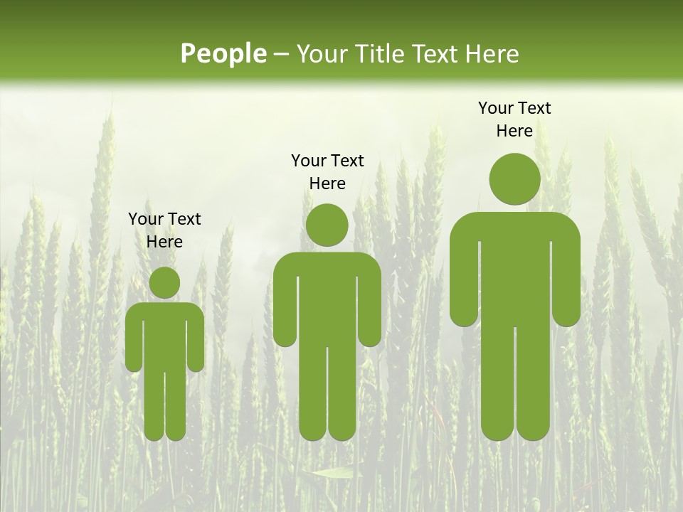 Nobody Nature Corn PowerPoint Template