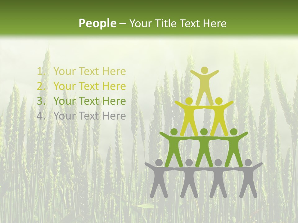 Nobody Nature Corn PowerPoint Template