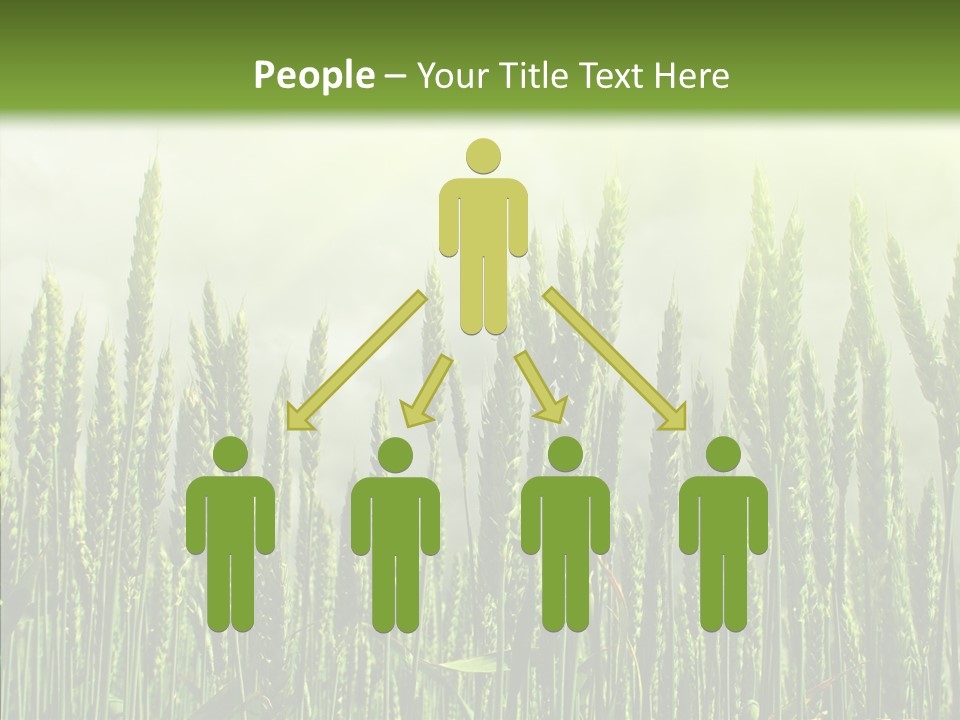 Nobody Nature Corn PowerPoint Template