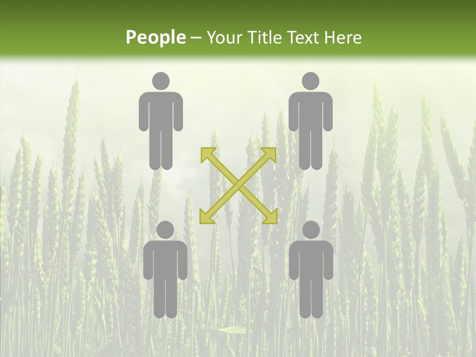 Nobody Nature Corn PowerPoint Template