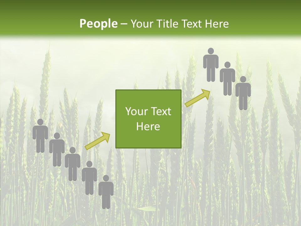 Nobody Nature Corn PowerPoint Template