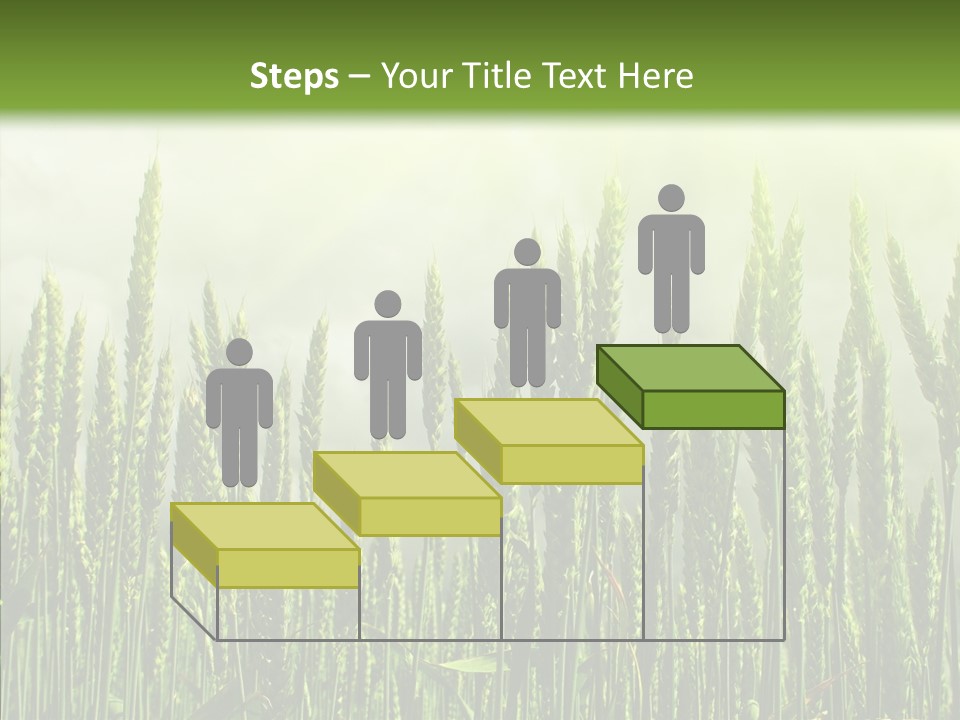 Nobody Nature Corn PowerPoint Template