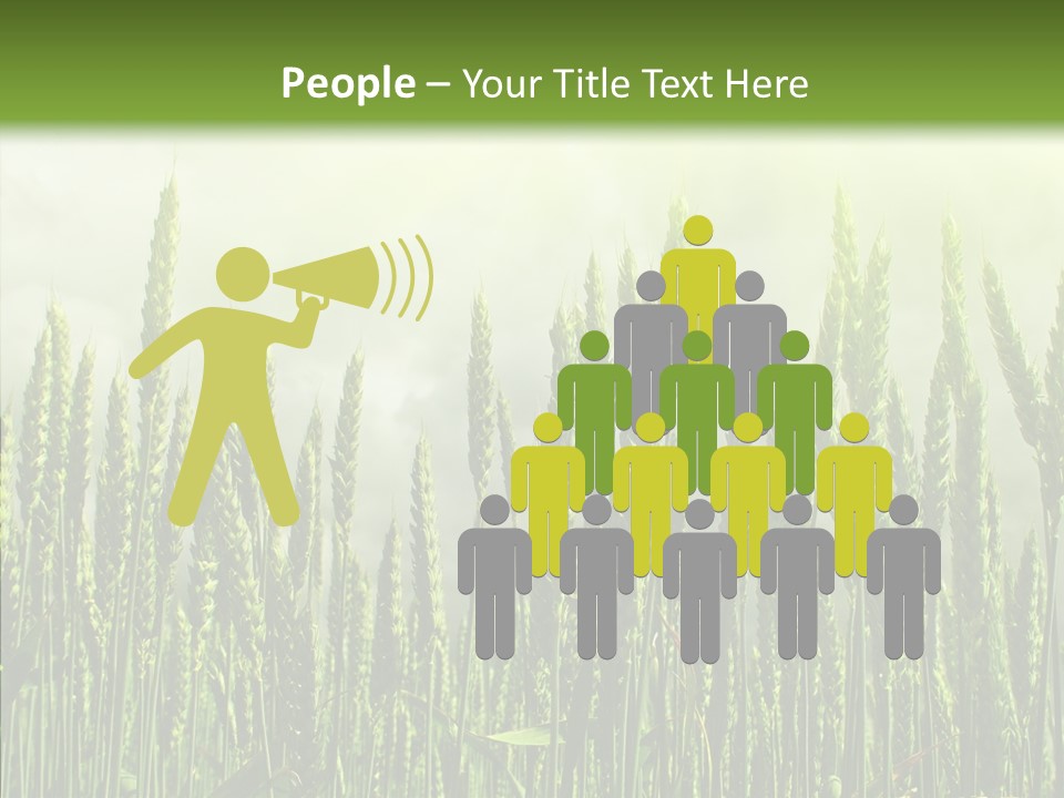Nobody Nature Corn PowerPoint Template