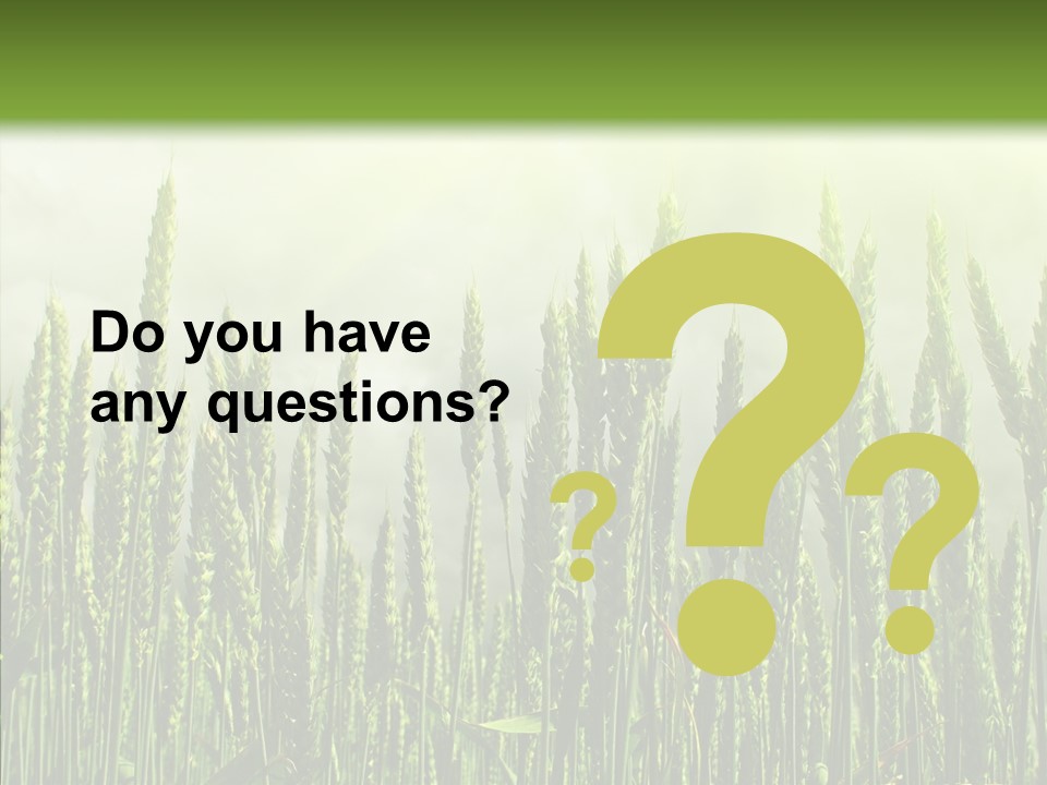 Nobody Nature Corn PowerPoint Template