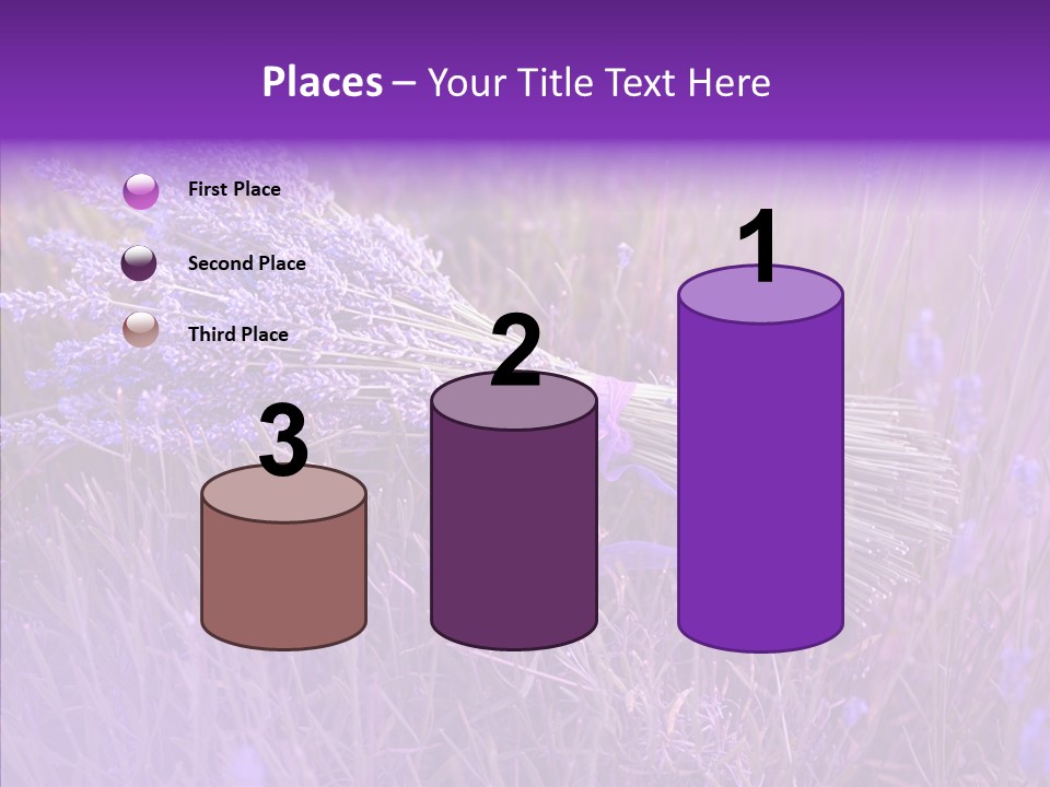 Lavendar Fragrant Agriculture PowerPoint Template