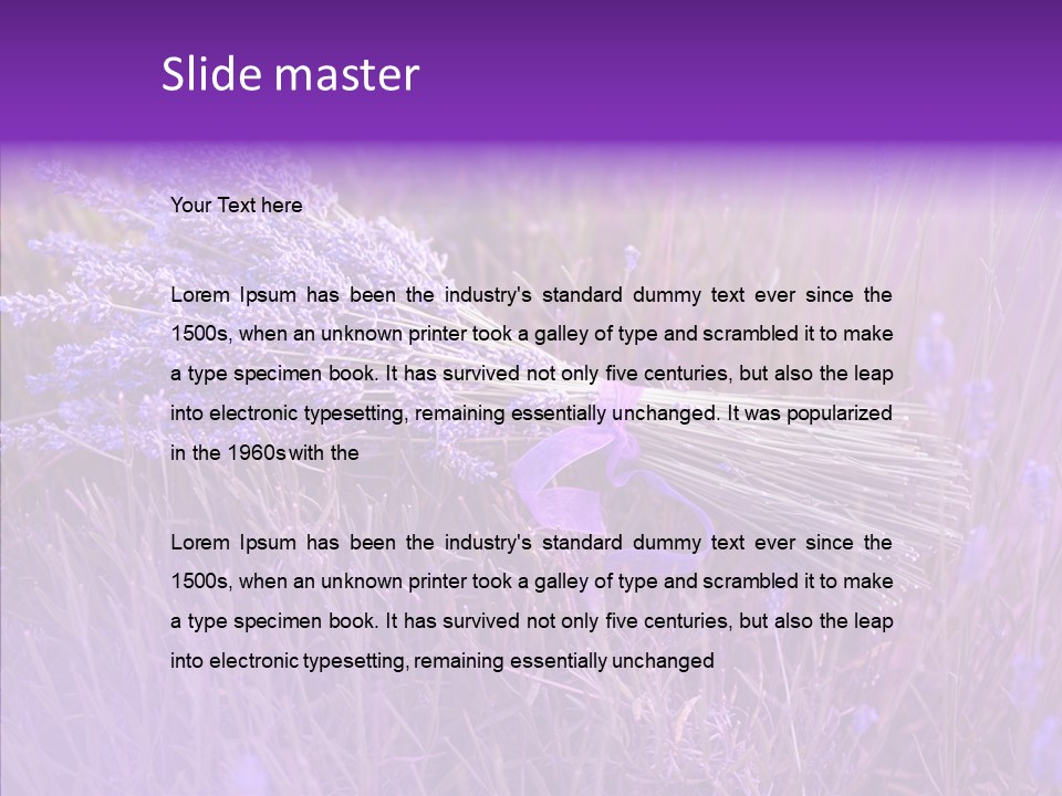 Lavendar Fragrant Agriculture PowerPoint Template