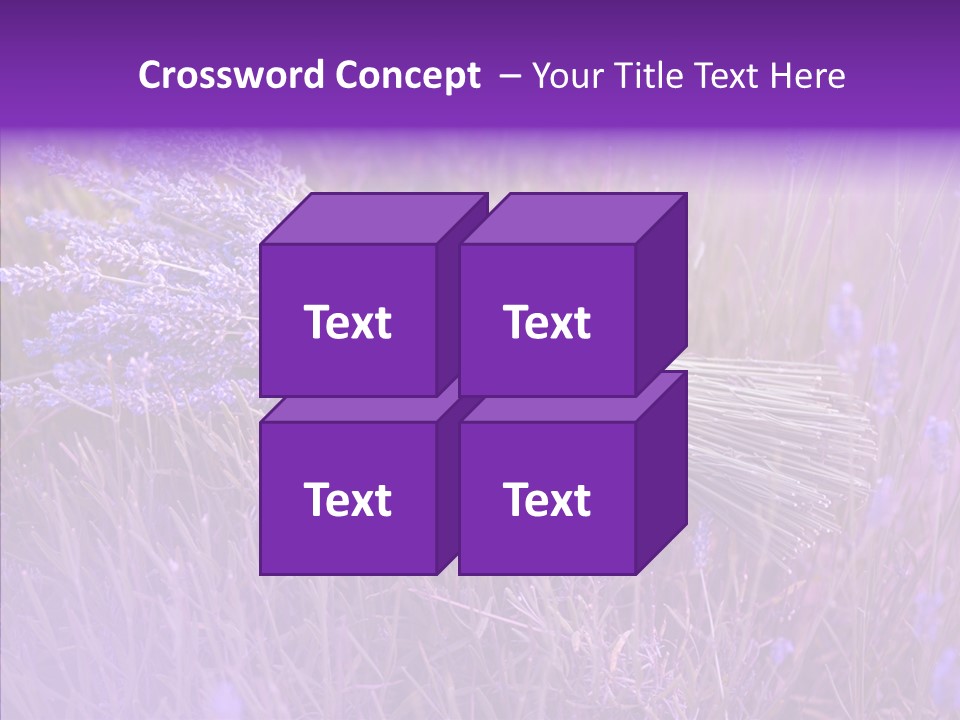 Lavendar Fragrant Agriculture PowerPoint Template