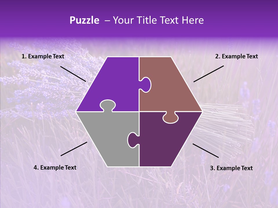 Lavendar Fragrant Agriculture PowerPoint Template