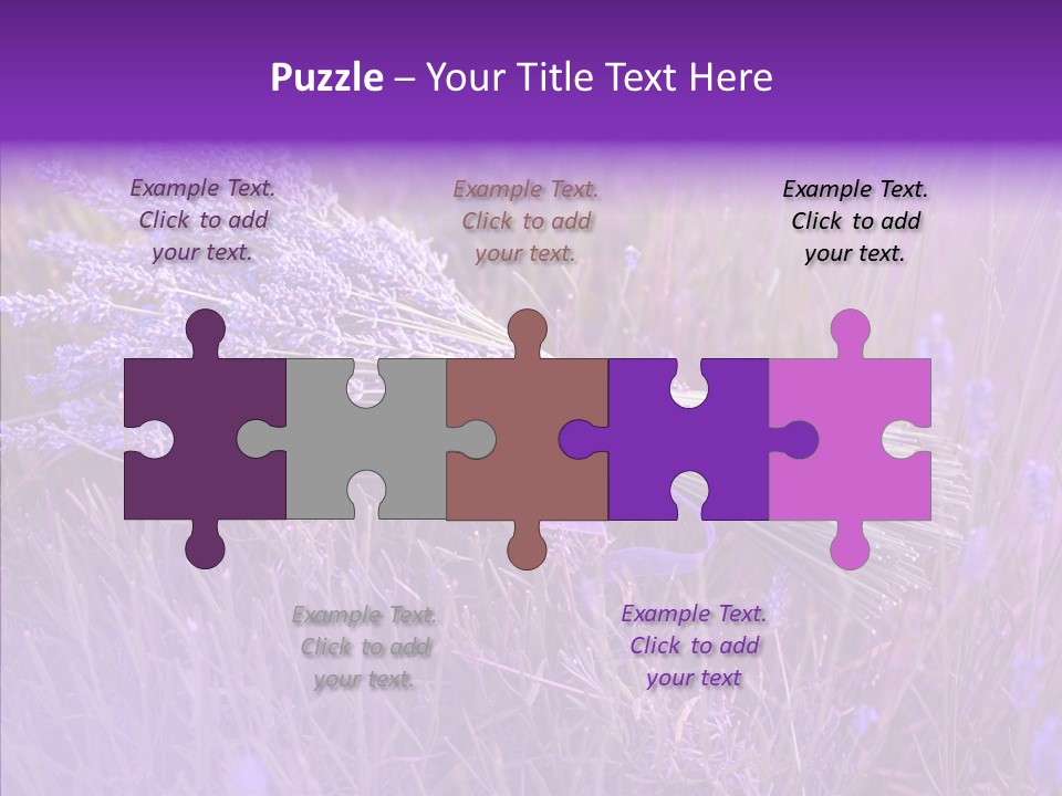 Lavendar Fragrant Agriculture PowerPoint Template