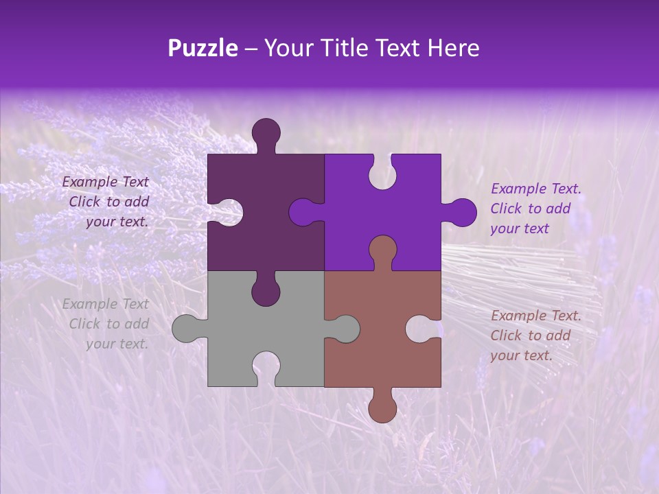 Lavendar Fragrant Agriculture PowerPoint Template