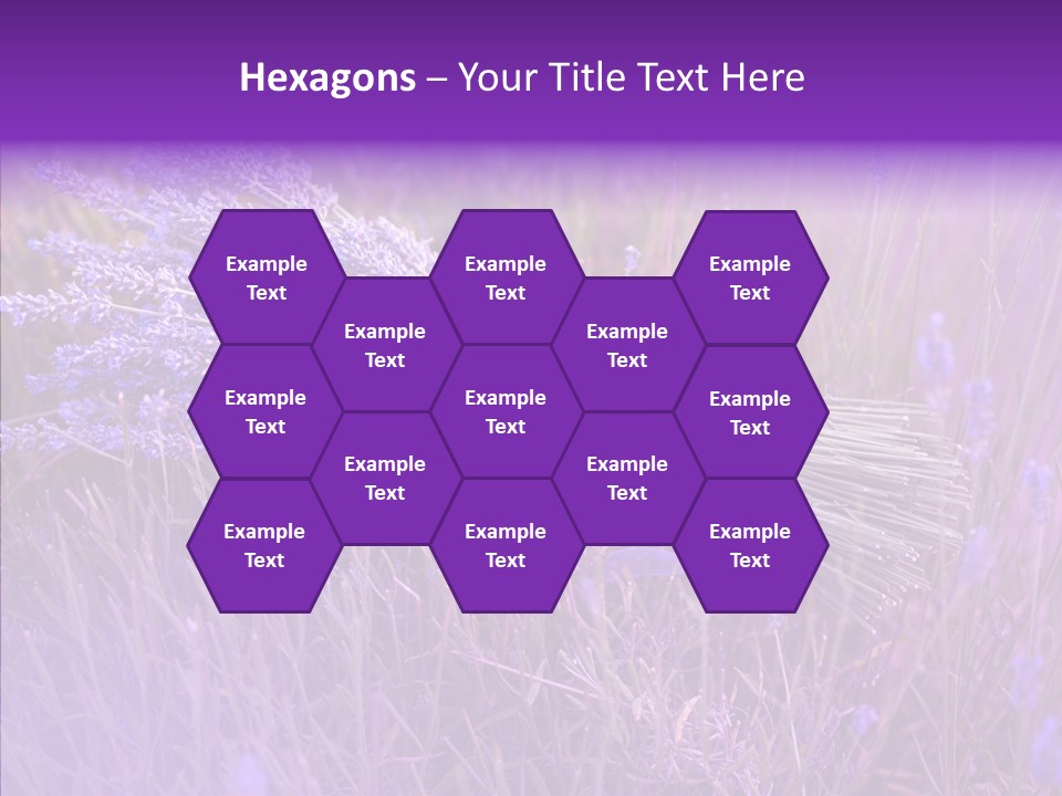 Lavendar Fragrant Agriculture PowerPoint Template