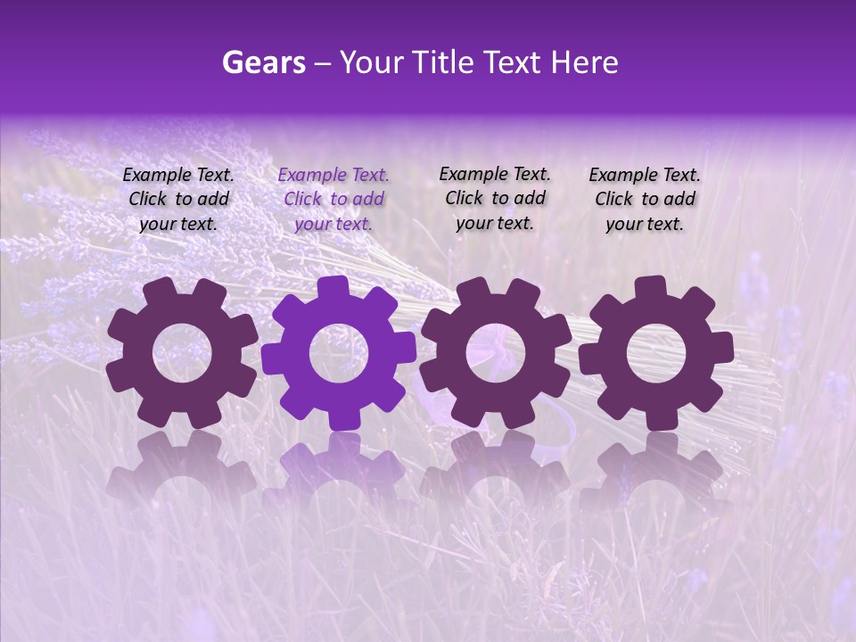 Lavendar Fragrant Agriculture PowerPoint Template