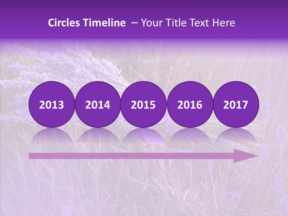 Lavendar Fragrant Agriculture PowerPoint Template