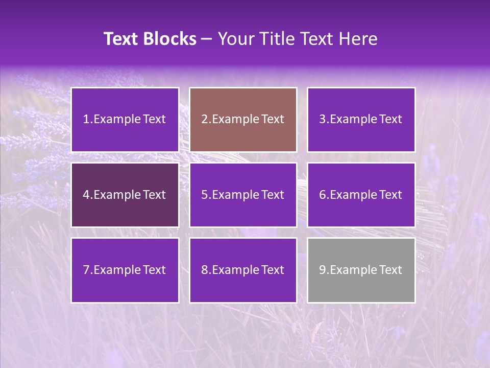 Lavendar Fragrant Agriculture PowerPoint Template