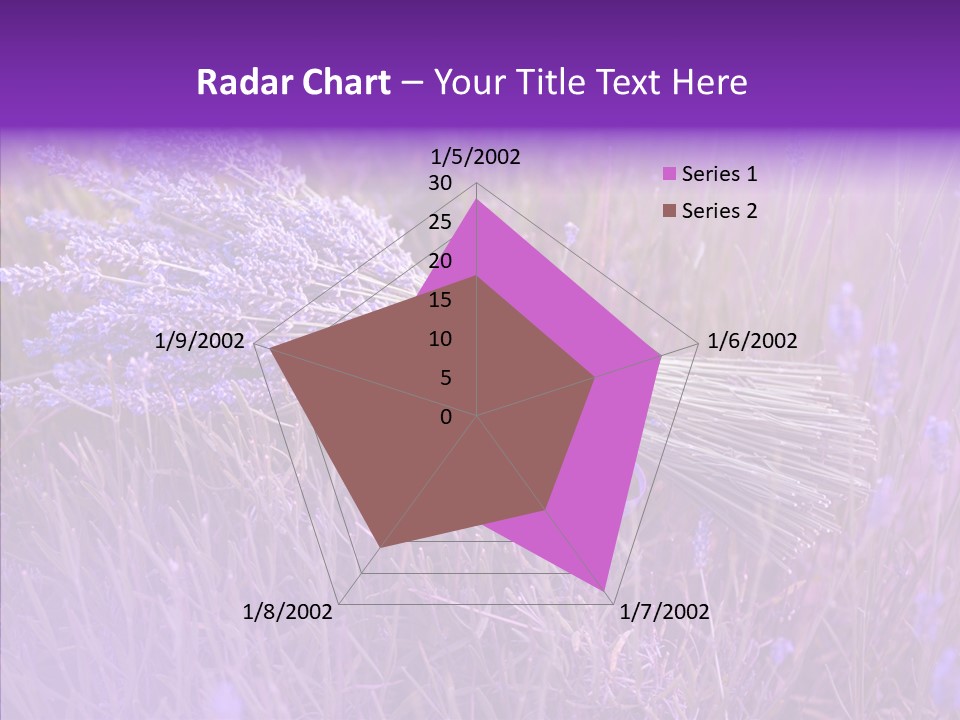 Lavendar Fragrant Agriculture PowerPoint Template