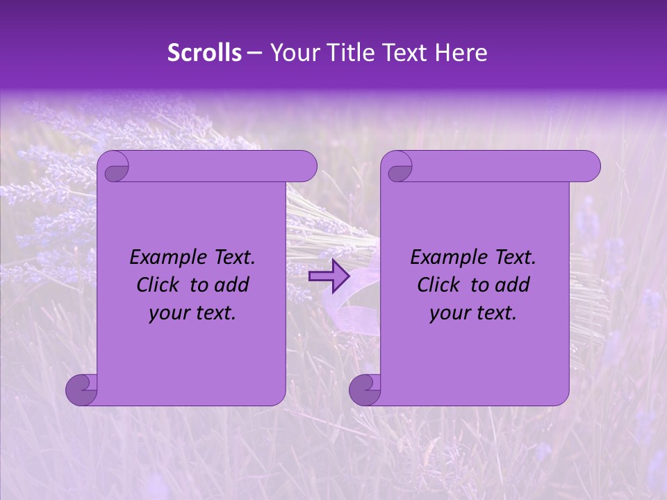 Lavendar Fragrant Agriculture PowerPoint Template