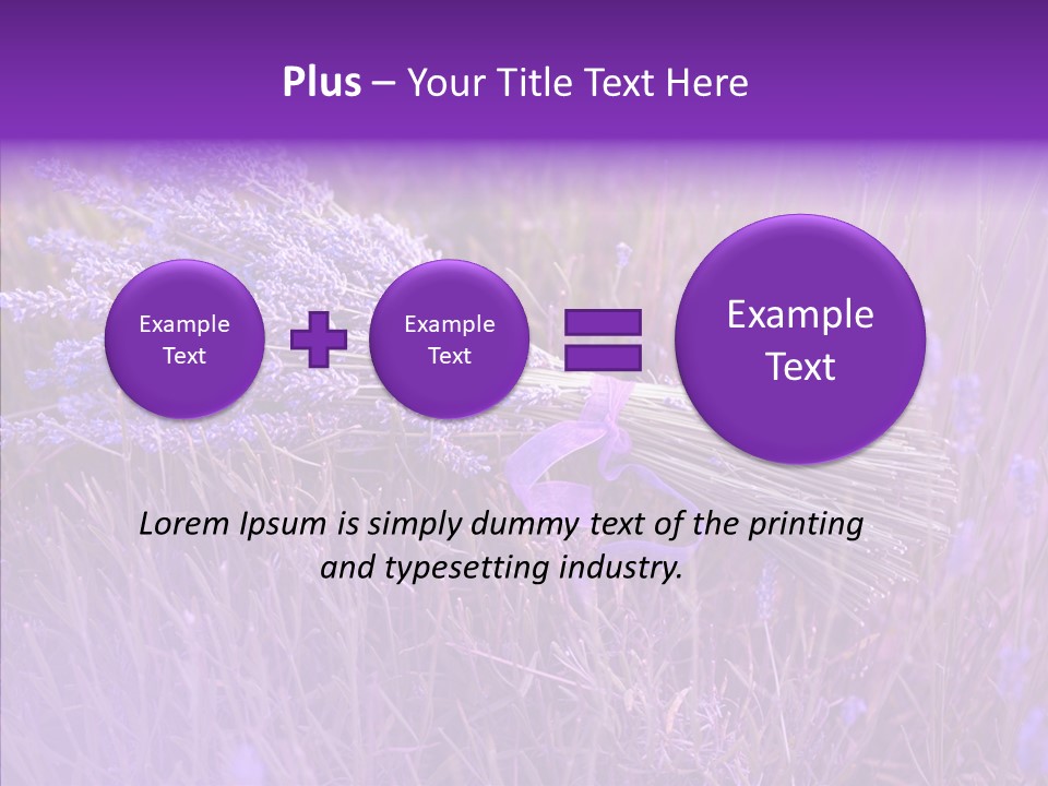 Lavendar Fragrant Agriculture PowerPoint Template