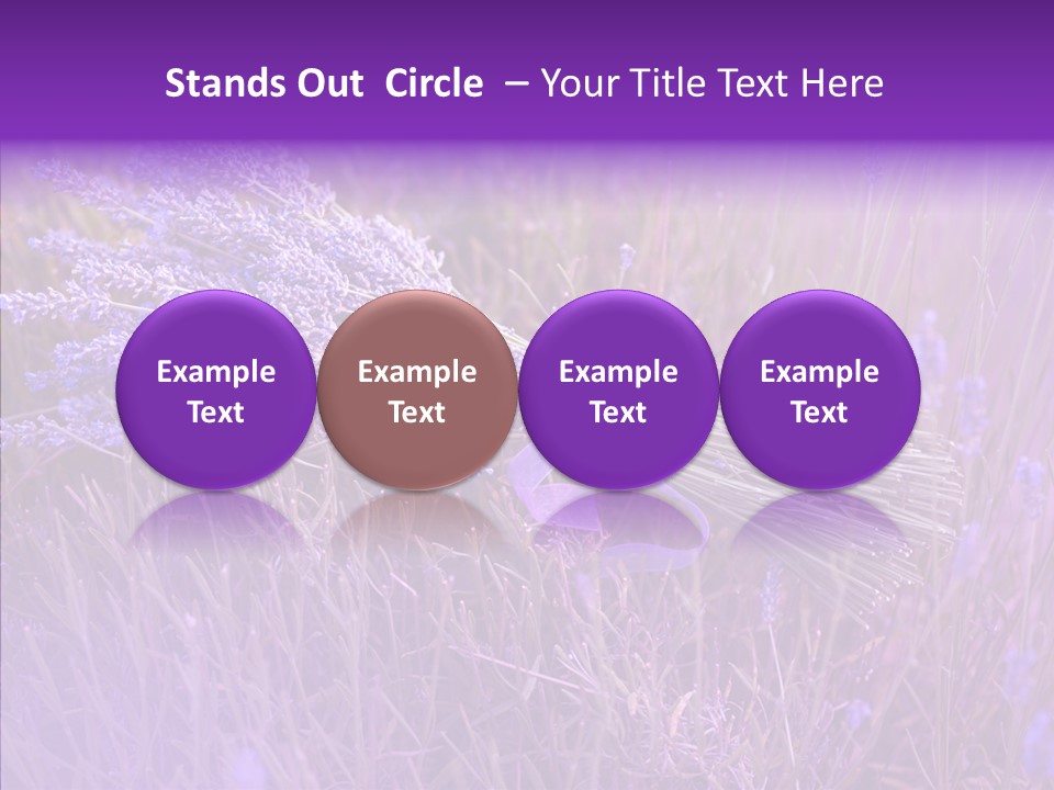 Lavendar Fragrant Agriculture PowerPoint Template