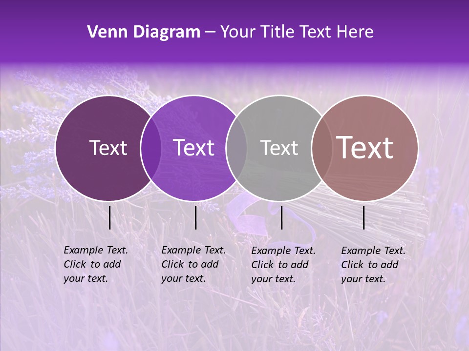 Lavendar Fragrant Agriculture PowerPoint Template