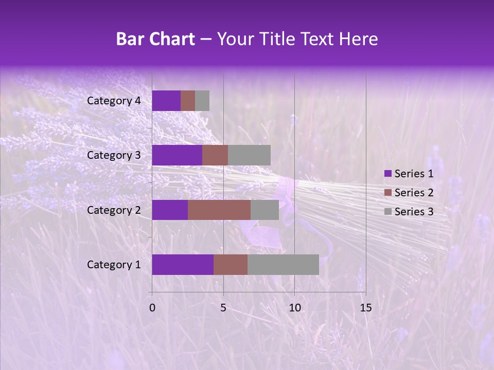 Lavendar Fragrant Agriculture PowerPoint Template