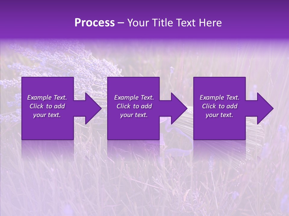 Lavendar Fragrant Agriculture PowerPoint Template