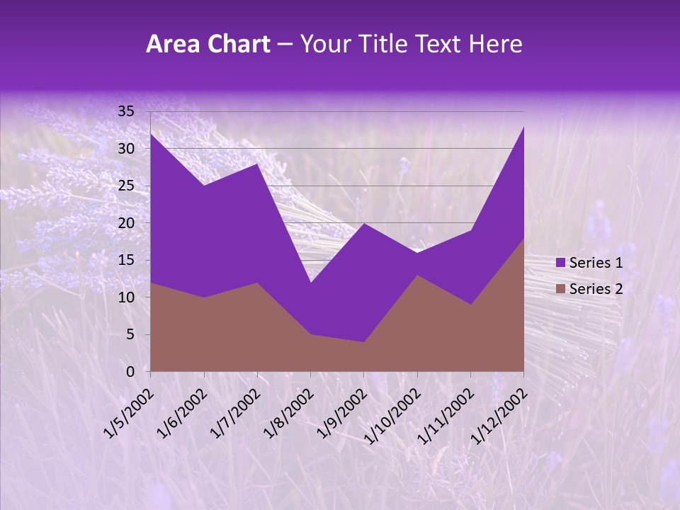Lavendar Fragrant Agriculture PowerPoint Template