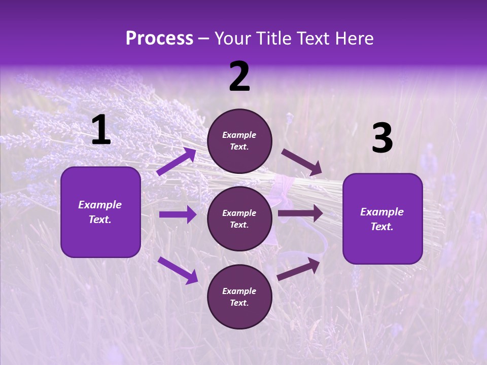 Lavendar Fragrant Agriculture PowerPoint Template