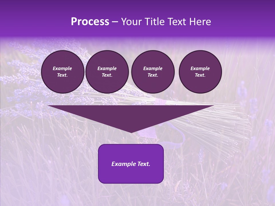 Lavendar Fragrant Agriculture PowerPoint Template