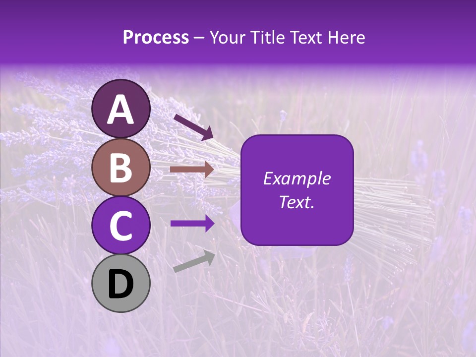 Lavendar Fragrant Agriculture PowerPoint Template