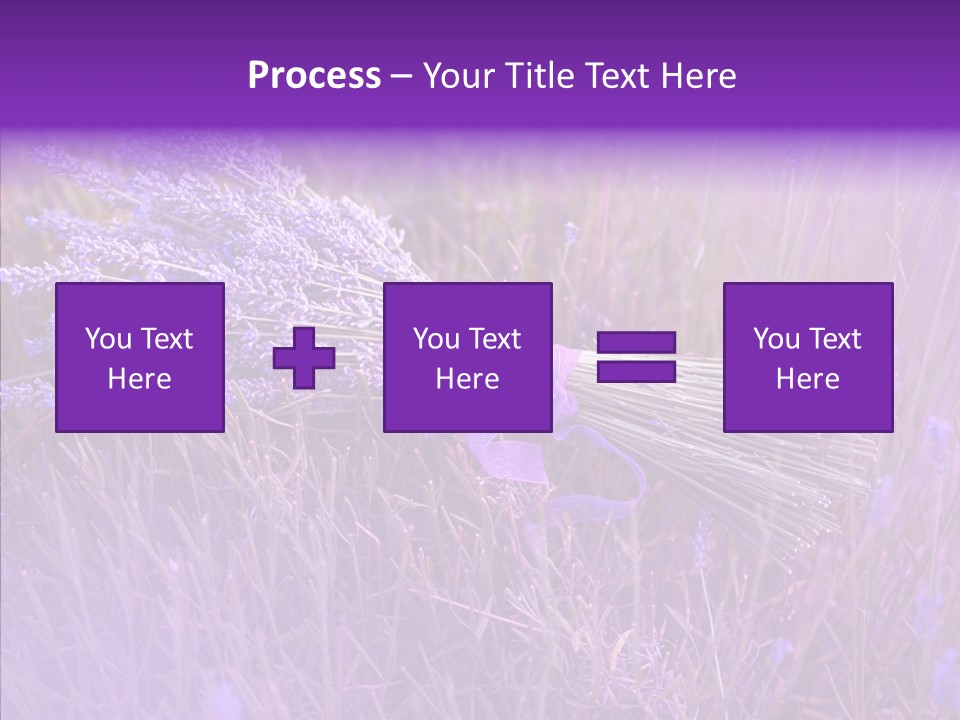 Lavendar Fragrant Agriculture PowerPoint Template