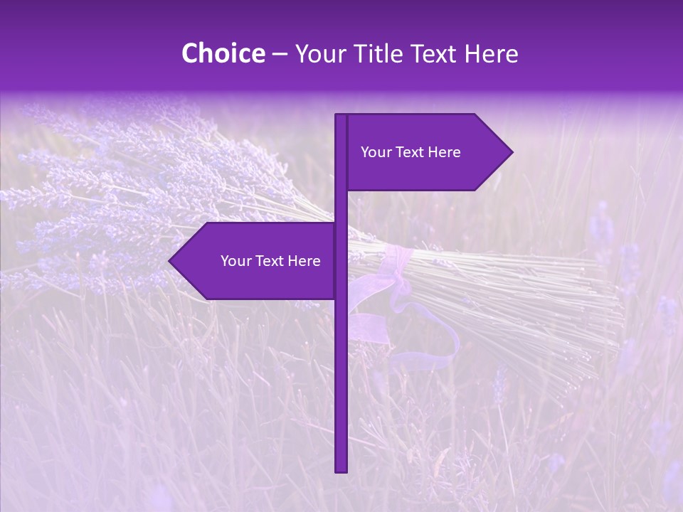 Lavendar Fragrant Agriculture PowerPoint Template