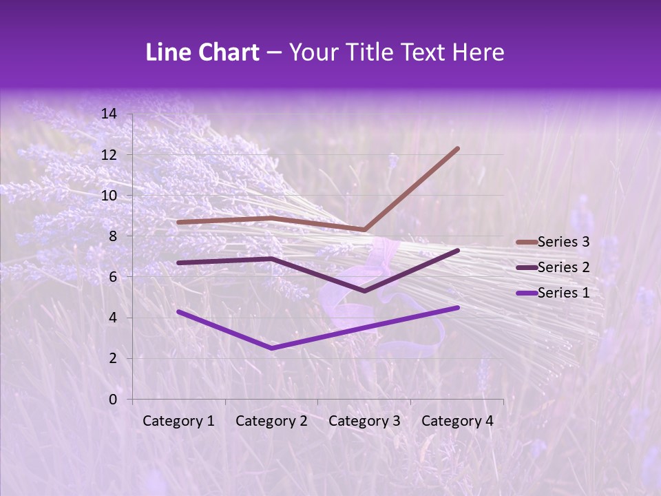 Lavendar Fragrant Agriculture PowerPoint Template